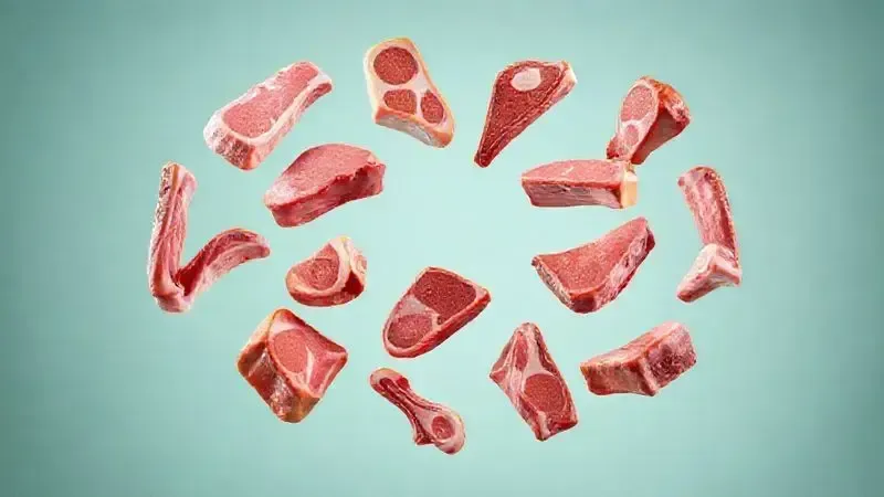 Ilustração 3D conceitual de doze cortes diferentes de carne flutuando, representando as melhores opções para assar.